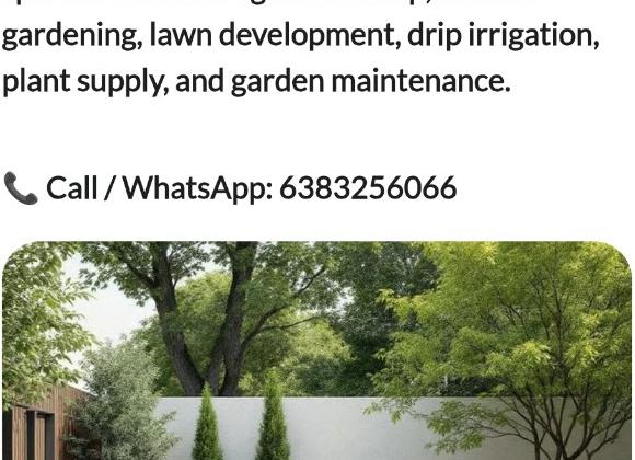 Garden lawn and landscaping